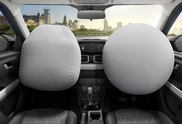 Dual Airbags